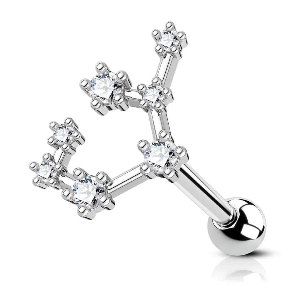 16g astrology zodiac constellation stud earrings