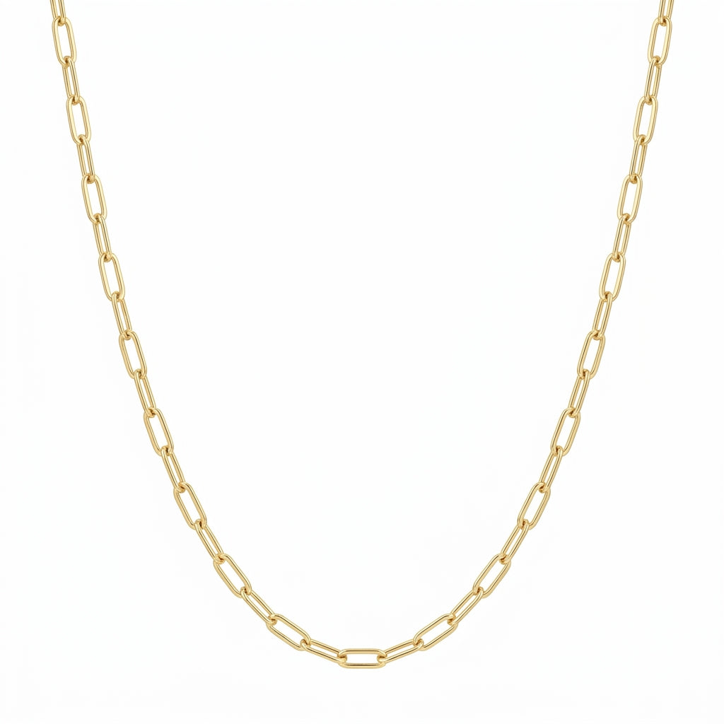 Classics Paperclip Necklace
