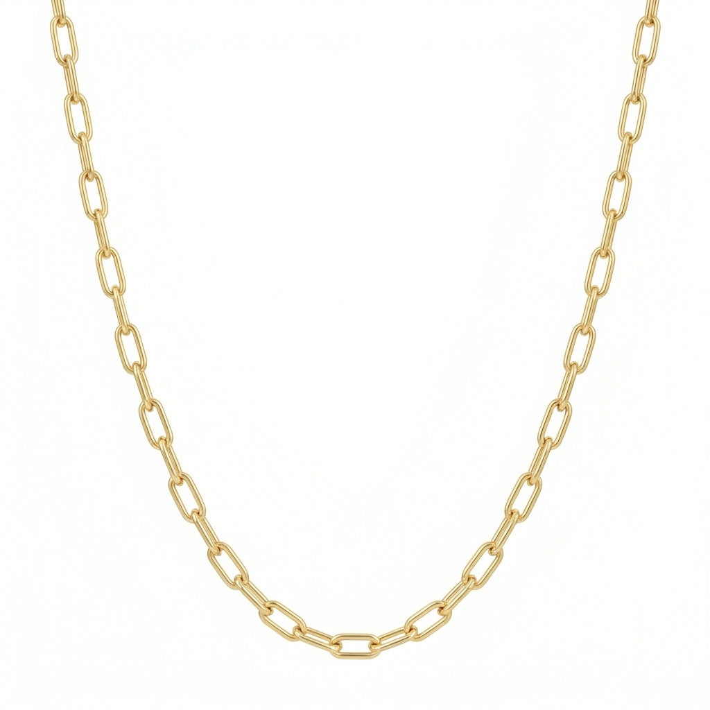 Classics Paperclip Necklace