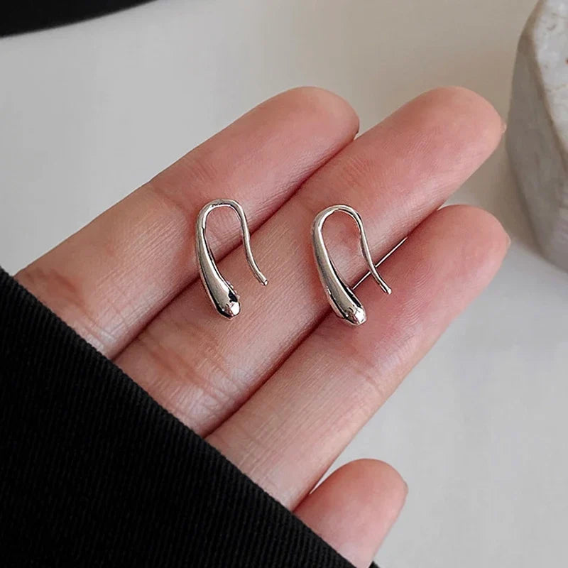 S925 Dainty Droplet Hook Earrings in silver