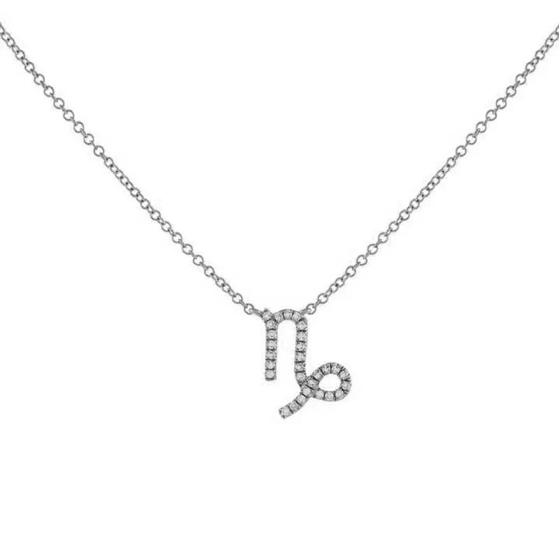 Dainty Diamond Zodiac Sign Necklace in silver